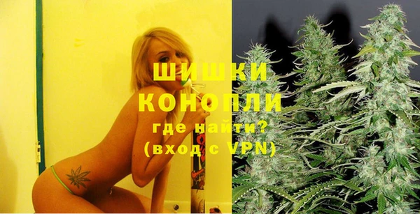 прущие грибы Лиски