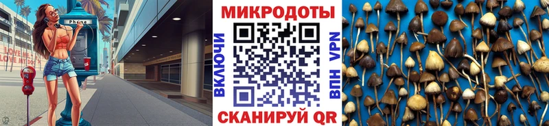 Купить где  Горняк  Галлюциногенные грибы Psilocybe 